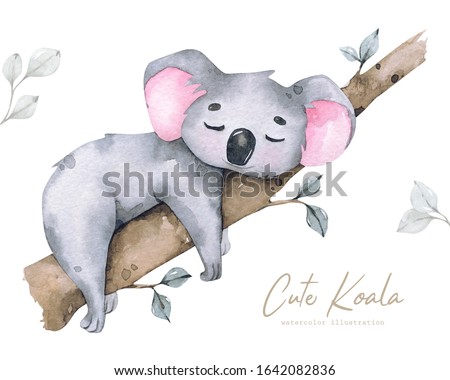 Hand painted watercolor tropical illustration with cartoon cute koala, isolated on white background.