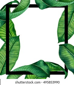 hand painted watercolot botanical tropical leaves frame. natural glamour  leaf design for your blog