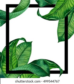 hand painted watercolot botanical tropical leaves frame. natural glamour  leaf design for your blog
