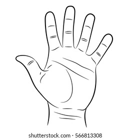 Hand Showing Five Fingers On White Stock Illustration 566813308 ...