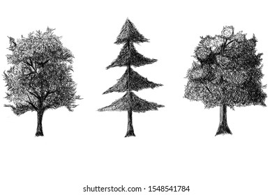Hand sketch tree illustration set. Isolated vintage background