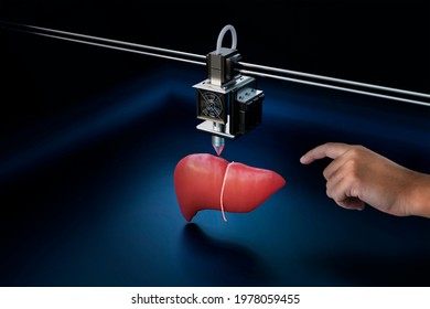 Hand touching a 3d polymer Liver that was printed by a 3d printer. Concept for 3d printing, organ transplant, creation, technology, Hepatology. 3D render montage