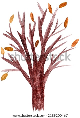 Hand-drawn bare autumn tree with fallen leaves. Raster watercolor illustration isolated on transparent or white background