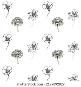 Hand-drawn Black And White Patten Of Summer Flowers