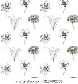 Hand-drawn Black And White Patten Of Summer Flowers