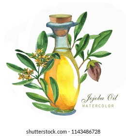 Hand-drawn botanical illustration of the jojoba. Cosmetics and medical plant. Flowers, leaves, branches drawings and oil bottle, isolated on the white background. 