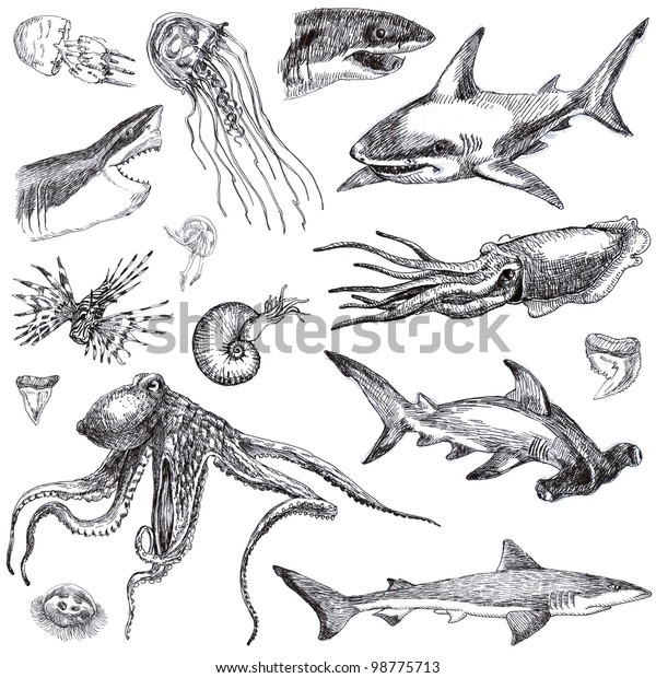 手描きのコレクション 海洋生物 海の怪物とサメ 黒いマーカーを描く のイラスト素材