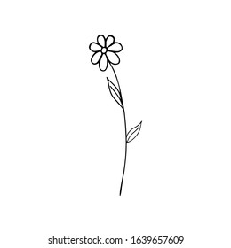 Hand-drawn Doodle Flower For Decoration Interior, Print Posters, Greating Card, Bussines Banner, Festive Decoration.