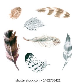 Watercolor Feathers Seamless Pattern Hand Painted Stock Illustration ...