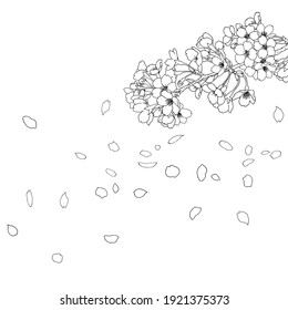 桜 吹雪 のイラスト素材 画像 ベクター画像 Shutterstock