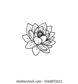 Fleur De Lotus Dessin Images Stock Photos Vectors