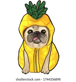 Hand-drawn Portrait Of Cute Pug In Pinapple Costume.