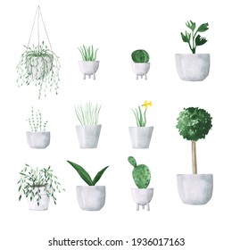 Hand-drawn set of narcissus flower, aloe, cactus, Bonsai tree in pots. Collection of 11 watercolor potted plants isolated on a white background. Botanical illustration. Greenery clipart. 