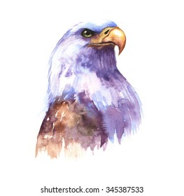 Hand-drawn watercolor drawing of the beautiful eagle. The symbol of the USA - eagle illustration isolated on the white background