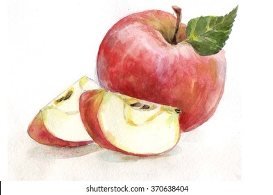 Hand-drawn watercolor illustration of red apple and a slice of apple