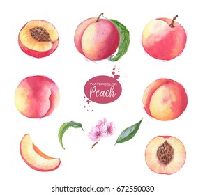 61,506 Peach watercolor Images, Stock Photos & Vectors | Shutterstock