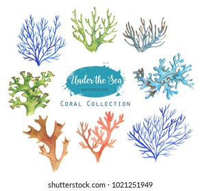 Hand-drawn Watercolor Illustration Of The Under The Sea. Coral Collection