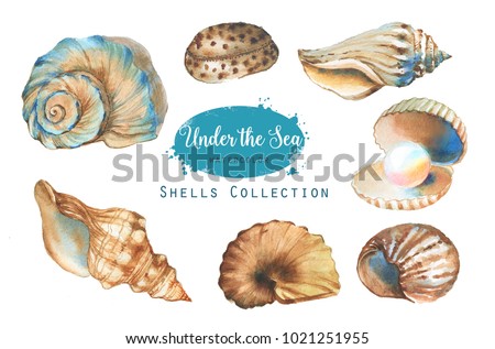 Similar – Image, Stock Photo Collection of colourful seashells in the sand. Beach background with beautiful seashells and copy space. Pastel coloured seashells.
