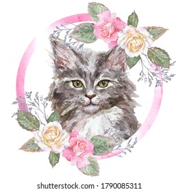 Hand-drawn watercolor and pencil grey Maine coon kitten portrait, pink watercolor frame, pink and white roses, flowers, green leaves. Paper textures, design template, postcard, invitation. - Powered by Shutterstock