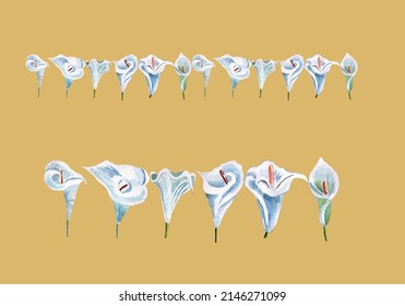 Handmade Watercolor Illustration Calla Lily Border On Brown Background. Colorful Background For Fabric, Wallpapers, Gift Wrapping Paper, Scrapbooking. Design For Kids.