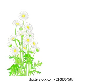 4 900件の 花 マーガレット のイラスト素材 画像 ベクター画像 Shutterstock