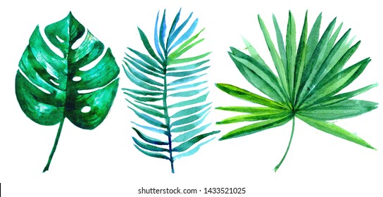 Handpainted Green Tropical Leaves, Watercolor Tropical, Wedding Card, Sale Mock Up. Monstera, Banana Leaf, Palm Leaf