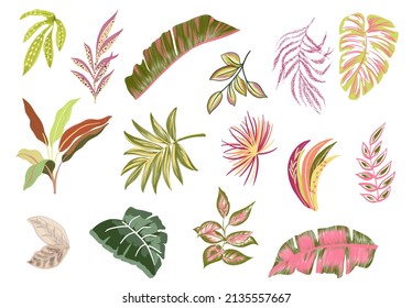handpainted illustration abstract tropical nature jungle colorfull summer leaves and flowers palm leaf monstera watercolor gouache style isolated elements pink green yellow orange