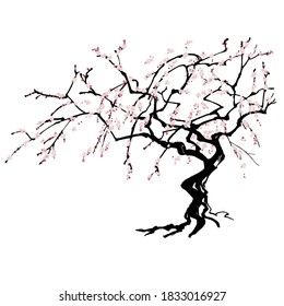 最も共有された 梅の木 イラスト 梅の木 イラスト 書き方
