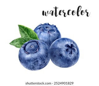 Hand-Painted Watercolor Blueberries and Leaves Botanical Illustration - Powered by Shutterstock