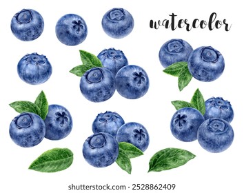 Hand-Painted Watercolor Blueberry Botanical Illustration - Powered by Shutterstock