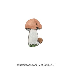 Hand  painted watercolor mushrooms  two white mushrooms  mushrooms white isolated background 