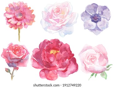 Hand-painted watercolor and pencil flower set for your design. Pink, red, white, violet anemone, rose, peony, gerbera. Template for postcards, patterns, banners. Wedding, Women's Day, Valentine's Day.