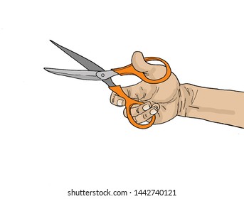 hands and scissors, white background

