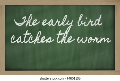 handwriting blackboard writings - The early bird catches the worm