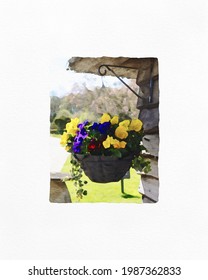 Hanging Basket With Yellow And Purple Pansies On The Side Of An Old Wooden Barn In Summer Water Colour In A White Border For Card Designs