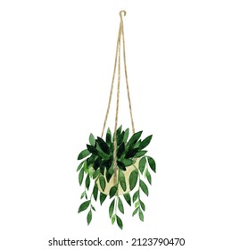 Hanging Indoor Plant, Watercolor House Plant Isolated,  Hanging Flower Pots, Interior Design Element, Tradescantia Illustration, Hand Painted  Macrame Hangers, Hanging Plant In Pot 