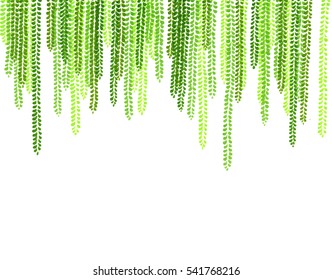 Hanging Willow Leaves