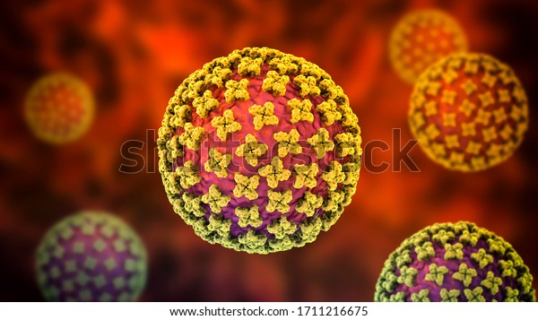 Hantavirus, the virus which causes\
hemorrhagic fever with renal syndrome and human pulmonary syndrome,\
transmitted from rodents, 3D\
illustration
