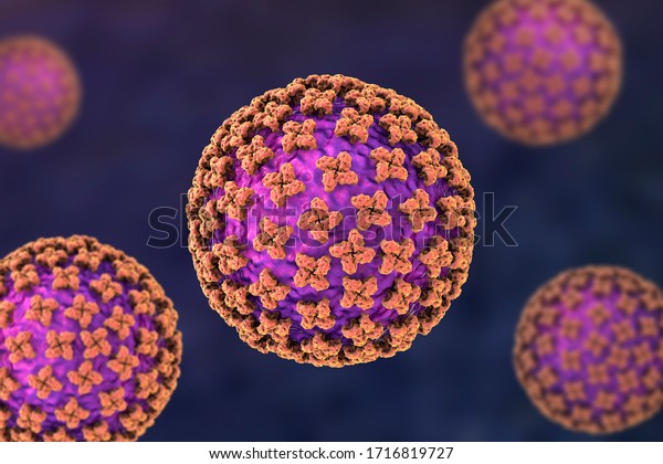 Hantavirus, the virus which causes\
hemorrhagic fever with renal syndrome and human pulmonary syndrome,\
transmitted from rodents, 3D\
illustration