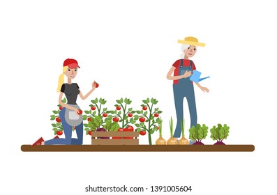 Young Woman Man Plants Gardening Tools Stock Vector (Royalty Free ...