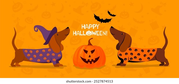 Happy Halloween greeting card with dachshund dog. Dachshund in Halloween costume. Halloween Dog  Design Bundle. Set of dogs wearing costumes. Cute Pets dressed for carnival party cartoon  - Powered by Shutterstock