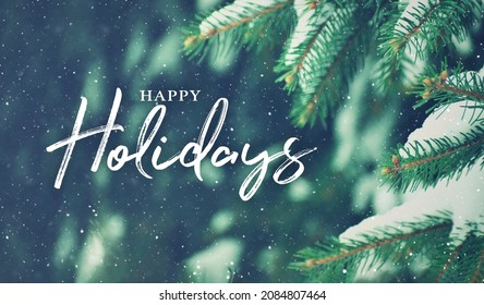 Happy Holidays Christmas Script Text Over Evergreen Tree Background in Woods Covered in Snow