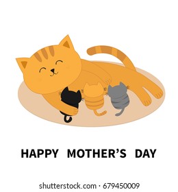 Happy Mothers Day. Cat Feeding Kittens. Mom Kitty Laying On The Floor And Nursing Little Cats. Milk Feed. Breastfeeding Pet Animal. Cute Cartoon Character Flat Design White Background Isolated.