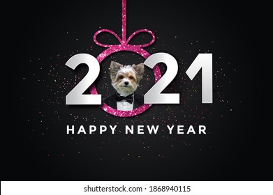 Happy New Year 2021 With A Dog, Biewer Yorkshire	