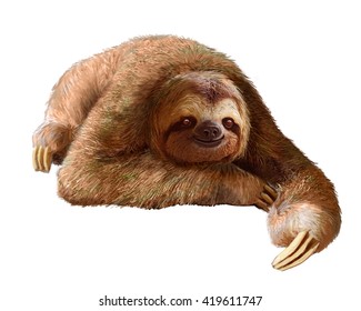 Happy Sloth Resting On A Clean White Background