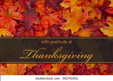 Happy Thanksgiving Greeting, Fall Leaves Background And Text With Gratitude At Thanksgiving