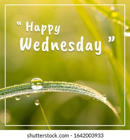 96,025 Wednesday Images, Stock Photos & Vectors | Shutterstock