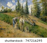 The Harvest, Pontoise, by Camille Pissarro, 1881, French impressionist painting, oil on canvas. The theme of potato gathering recurs in Pissarro\x90s works, linking him to the realist painters