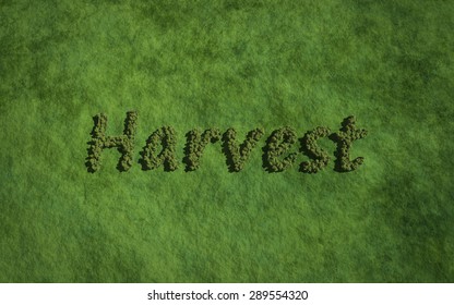 harvest text tree with grass background concept of typography