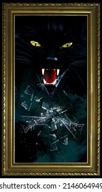 Haunted Broken Mirror Superstition Cat Scary